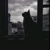 0thematanh