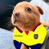 xavi_xlv