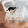 balanceforpaws