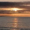 sevana.22