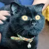 taphoameobadao