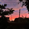 melliohopeworld