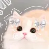 hongbiet2712