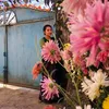 chhiringlama668