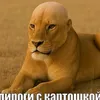 tazzzik04