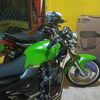pandutri155