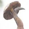 eaihyb