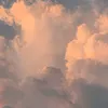 nguyntn576