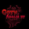 cctv.analis.kt