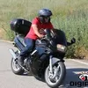luispinheiro3759