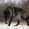 dragosalecxandruv