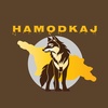 hamodkaj