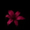 mathuu_.26