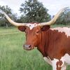 cheathamheritagefarm