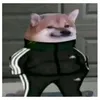 tduck_cc