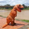 naotemdinossauronoacre