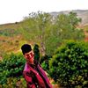 safdinmansouri