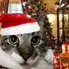 brent_batumbakal20