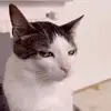 abcdzyx07