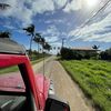 alex_uele