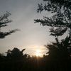 tanpa2_