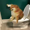 dycdhdx7623o