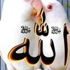 user8187125341077