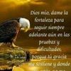 lolamariavalerio