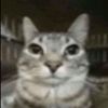 medina_2011_felipe