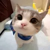 ptrangg_011