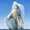 seaomn929