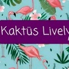 kaktuslively