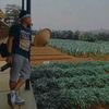 donald26_febi