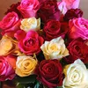 user84491419536322