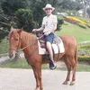 truongvanhung85