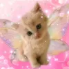 nhduong_9