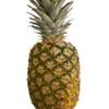 pineappletkt