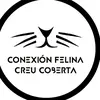 conexionfelinaccoberta