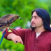 qalander243