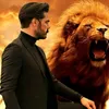 nazimm79