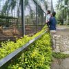 fadhilah_2101