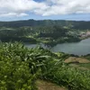 neliarapozo2