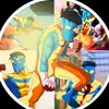 fan_invensible