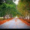 dini_videolar_57