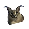aboba2.3