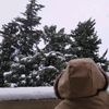 sultan.almohammad4
