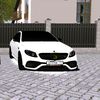 werneronly