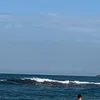 vidabrunita