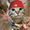 capten.jr7