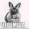 user6361817842250